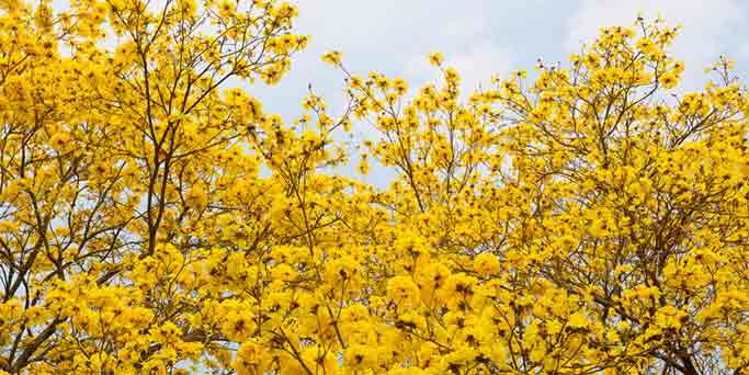 10 Quotes Inspiratif dari Yasmin Mogahed